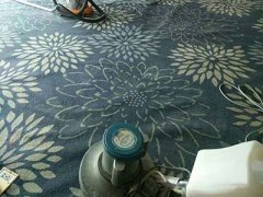专业酒店地毯清洗 干净又卫生 安心居住